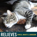 OurPet's Play-N-Squeak Mouse Hunter Cat Toy (Interactive Cat Toy & Catnip Toy with Real Mouse Electronic Sound) Perfect Toys for Indoor Cats with Catnip