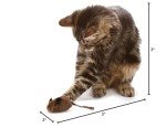 OurPet's Play-N-Squeak Mouse Hunter Cat Toy (Interactive Cat Toy & Catnip Toy with Real Mouse Electronic Sound) Perfect Toys for Indoor Cats with Catnip