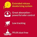 Tidy Cats Purina Non Clumping Cat Litter, 24/7 Performance Multi Cat Litter - 20 lb. Bag