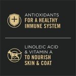 Purina Pro Plan Gravy, High Protein Wet Cat Food Variety Pack, Complete Essentials Chicken and Turkey Favorites - (Pack of 24) 3 oz. Cans