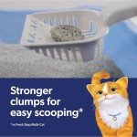 Fresh Step Outstretch, Clumping Cat Litter, Advanced, Extra Large, 32 Pounds total (2 Pack of 16lb Boxes)