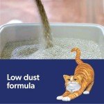 Fresh Step Outstretch, Clumping Cat Litter, Advanced, Extra Large, 32 Pounds total (2 Pack of 16lb Boxes)