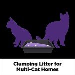 Arm Hammer SLIDE Platinum Multi-Cat Easy Clean-Up Clumping Cat Litter, 14 Days of Odor Control 18 lb