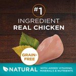Purina ONE Natural, High Protein, Grain Free Dry Cat Food, True Instinct With Real Chicken - 6.3 Lb. Bag