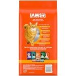 IAMS Proactive Health Healthy Adult Dry Cat Food with Chicken, 3.5 lb. Bag