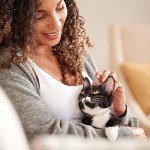 Rachael Ray Nutrish Longevity Premium Natural Dry Cat Food with Added Vitamins, Minerals & Other Nutrients, Chicken with Chickpeas & Salmon Recipe, 3 Pounds