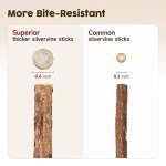 Potaroma 3 Pack Natural Silvervine Sticks Cat Toys, Catmint Silvervine Blend Sticks, Catnip Kittens Chew Toys Teeth Cleaning, Matatabi Dental Care Cat Treat Edible Kitty Lick Toys, Package May Vary