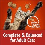 Purina Friskies Cat Treats, Party Mix Gravy-licious Crunch Chicken and Gravy Flavors - 20 oz. Pouch