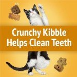 Purina Friskies Cat Treats, Party Mix Cheezy Craze Crunch - 20 oz. Pouch