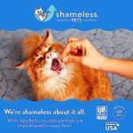 Shameless Pets Digestive Health Catnip Chicken Crunchy Cat Treats