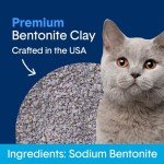 Boxie® Unscented 30 Day Natural Odor Control Cat Litter, 16lb Clumping Clay Kitty Litter