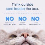 Boxie® Unscented 30 Day Natural Odor Control Cat Litter, 16lb Clumping Clay Kitty Litter