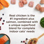 Nutrish Rachael Ray Indoor Complete Premium Natural Dry Cat Food, Chicken with Lentils & Salmon Recipe, 3 Pounds