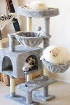 KIYUMI Cat Tree Cat Tower Condo with Sisal Scratching Post for Indoor Cats Cat Tree Cat Furniture with Hammock Perch and Kitten Ball Toys, Multi-Level Pet Activity Center Grey