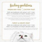 Fancy Feast Poultry and Beef Feast Classic Pate Collection Grain Free Wet Cat Food Variety Pack - (Pack of 30) 3 oz. Cans