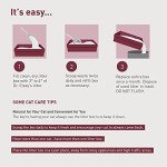 Precious Cat Classic Premium Clumping Cat Litter, 18 lb Bag