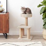 Amazon Basics Cat Tree Indoor Climbing Activity Tower with Scratching Posts, Medium, 15.7 x 31.5 Inches, Beige
