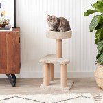 Amazon Basics Cat Tree Indoor Climbing Activity Tower with Scratching Posts, Medium, 15.7 x 31.5 Inches, Beige