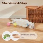 Potaroma Chirping Cat Toys Balls with SilverVine Catnip, Upgraded, 3 Pack Fluffy Interactive Cat Kicker, 3 Lifelike Animal Sounds, Kitty Kitten Catnip Exercise Toys