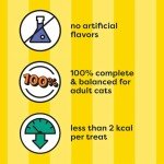 Temptations Classic Crunchy and Soft Cat Treats Feline Favorites Variety Pack, 3 oz. Pouches, Pack of 6