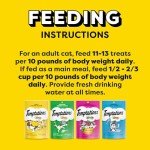 Temptations Classic Crunchy and Soft Cat Treats Feline Favorites Variety Pack, 3 oz. Pouches, Pack of 6