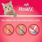 Fruitables Cat Treats | Crunchy Cat Treats | Healthy Low Calorie Cat Treats Packed with Protein | Free of Wheat, Corn and Soy | 2.5 oz (Pack of 3)