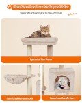 FISH&NAP Cute Cat Tree Kitten Cat Tower for Indoor Cat Condo Sisal Scratching Posts with Jump Platform Cat Furniture Activity Center Play House Beige