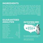 Purina ONE Sensitive Stomach, Sensitive Skin, Natural Dry Cat Food, +Plus Sensitive Skin and Stomach Formula - 3.5 Lb. Bag