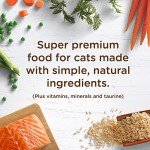 Rachael Ray Nutrish Premium Natural Dry Cat Food with Added Vitamins, Minerals & Other Nutrients, Real Salmon & Brown Rice Recipe, 6 Pound Bag