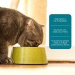 Rachael Ray Nutrish Premium Natural Dry Cat Food with Added Vitamins, Minerals & Other Nutrients, Real Salmon & Brown Rice Recipe, 6 Pound Bag