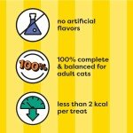 Temptations ShakeUps Crunchy and Soft Cat Treats Clucky Carnival Flavor, 5.29 oz. Pouch