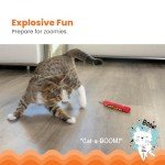 Catstages Green Magic Dynamite Stick Catnip Cat Toy