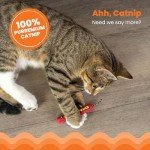 Catstages Green Magic Dynamite Stick Catnip Cat Toy