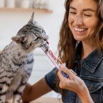 INABA Churu Cat Treats, Lickable, Squeezable Creamy Purée Cat Treat with Green Tea Extract & Taurine, 0.5 Ounces Each Tube, 40 Tubes, Salmon Variety Box