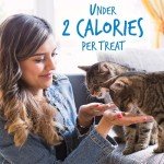 Fruitables Cat Treats – Crunchy Treats For Cats – Healthy Low Calorie Treats Packed with Protein – Free of Wheat, Corn and Soy – Made with Real Chicken with Blueberry – 2.5 Ounces