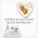 Purina Fancy Feast Gourmet Wet Cat Food Variety Pack, Petites Gravy Collection, break-apart tubs, 48 servings - 2.8 Ounce (Pack of 48)
