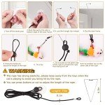 HOSFROLL Cat Toys, 2 Pack 3 in 1 Interactive Cat Toy for Indoor Cats with Sticky Super Suction Cup Detachable 10 Pcs Replacements Feathers Balls Mice 2 Wand Hanging Door Kitten Toys