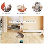 AsFrost Upgraded Interactive Cat Toy for Indoor Cats, Cat Feather Toy Treadmill for Bored Kitten Puppy Play Chase Run Exercise Mental Stimulation, Auto/Manual Control DIY Mouse Hunting Toy-Sky Blue