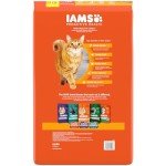 IAMS Proactive Health Healthy Adult Dry Cat Food with Chicken, 22 lb. Bag