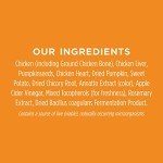 Instinct Freeze Dried Raw Boost Mixers Grain Free Digestive Health Recipe All Natural Cat Food Topper by Nature's Variety, 5.5 oz. Bag