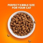 IAMS Proactive Health Healthy Adult Dry Cat Food with Chicken, 22 lb. Bag