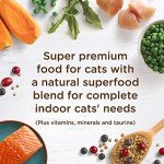 Rachael Ray Nutrish Indoor Complete Premium Natural Dry Cat Food, Chicken with Lentils & Salmon Recipe, 6 Pounds (Packaging May Vary)