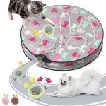 Interactive Cat Toys for Indoor Cats Kitten Puppy, Automatic Motion Cat Toy in Pouch Fast Rolling Ball in Play Mat Hide and Seek Mouse Catching Game with Chirping Stimulation, LED Lights, Auto On/Off