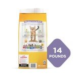 Purina Kitten Chow Kitten Food Healthy Development with Real Chicken Dry Kitten Food - 14 lb. Bag