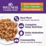 Wellness Complete Health Grain-Free Wet Canned Cat Food, Chicken & Turkey Lovers Variety Pack, 3 Ounce Can (Pack of 12)
