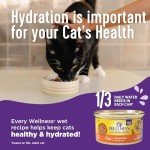 Wellness Complete Health Grain-Free Wet Canned Cat Food, Chicken & Turkey Lovers Variety Pack, 3 Ounce Can (Pack of 12)