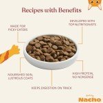 Made by Nacho Bone Broth Infused Dry Cat Kibble - Cage-Free Chicken & Pumpkin Recipe - Premium Grain-Friendly Cat Food 2lb Bag, Limited Ingredients