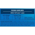 9Lives Daily Essentials Dry Cat Food With Chicken, Beef & Salmon Flavors, 12 lb Bag