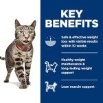 Hill's Science Diet Perfect Weight, Adult 1-6, Weight Management Support, Dry Cat Food, Chicken Recipe, 3 lb Bag
