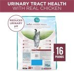 Purina ONE High Protein Dry Cat Food, +Plus Urinary Tract Health Formula - 16 lb. Bag
